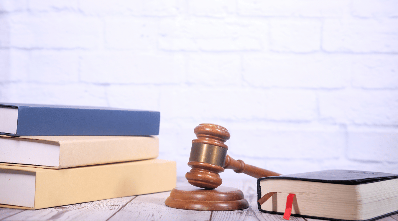 CIVIC GOVERNMENT visual data 8